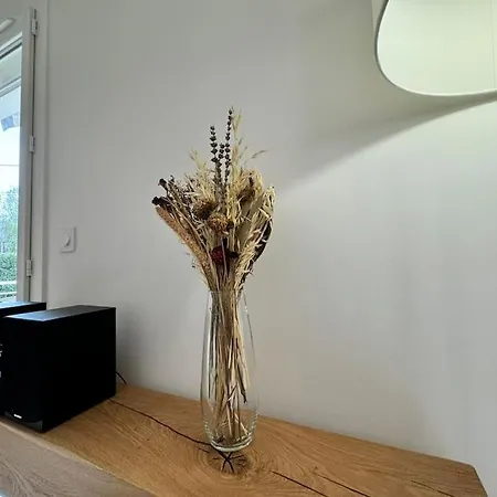 Le Nid Ruthenois Apartment